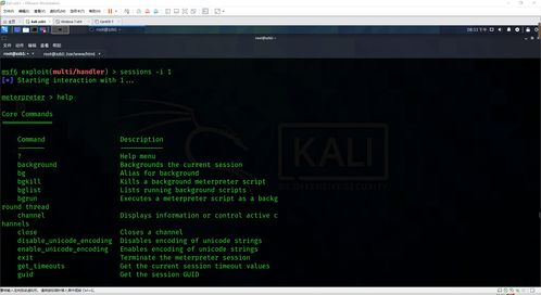 網絡安全滲透中的客戶端惡意軟件開發 Windows與Linux平臺